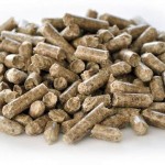 Pellet de bois